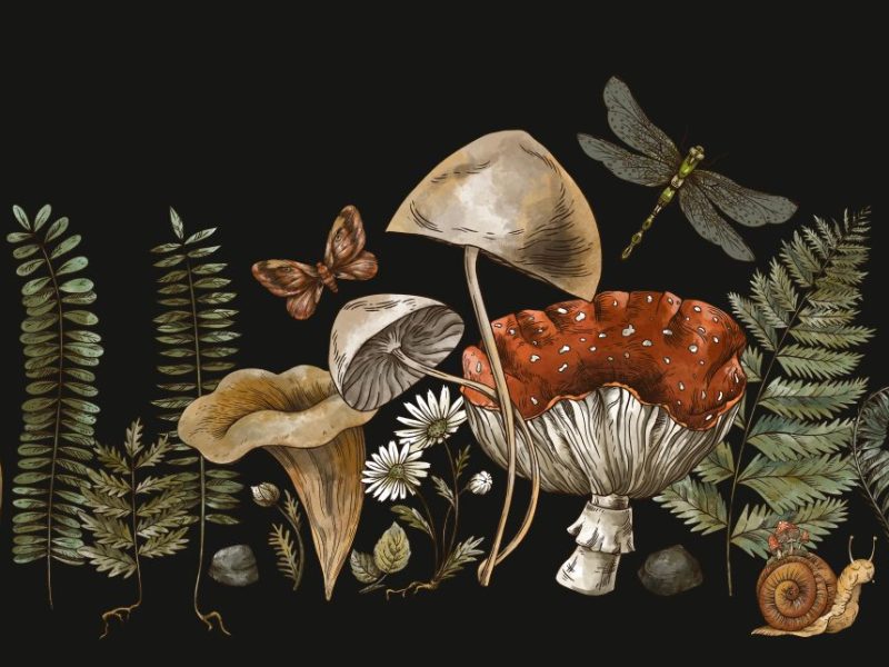 welcome to my cozy&nbsp;corner